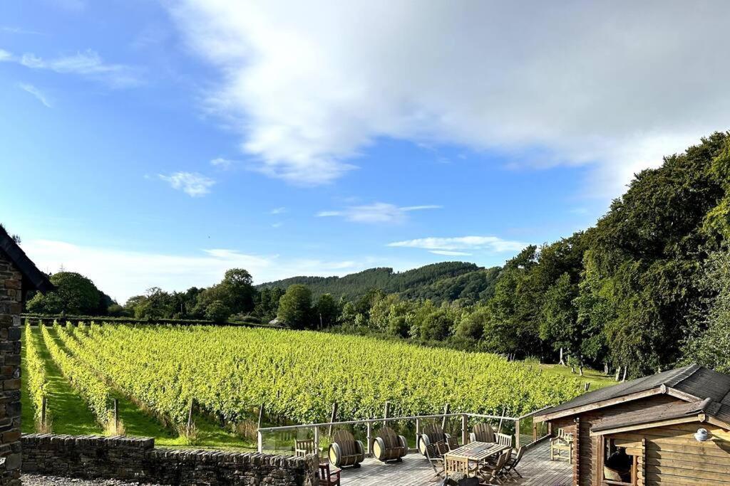 Vineyard Country Cottage Llanerch-Aeron Kültér fotó