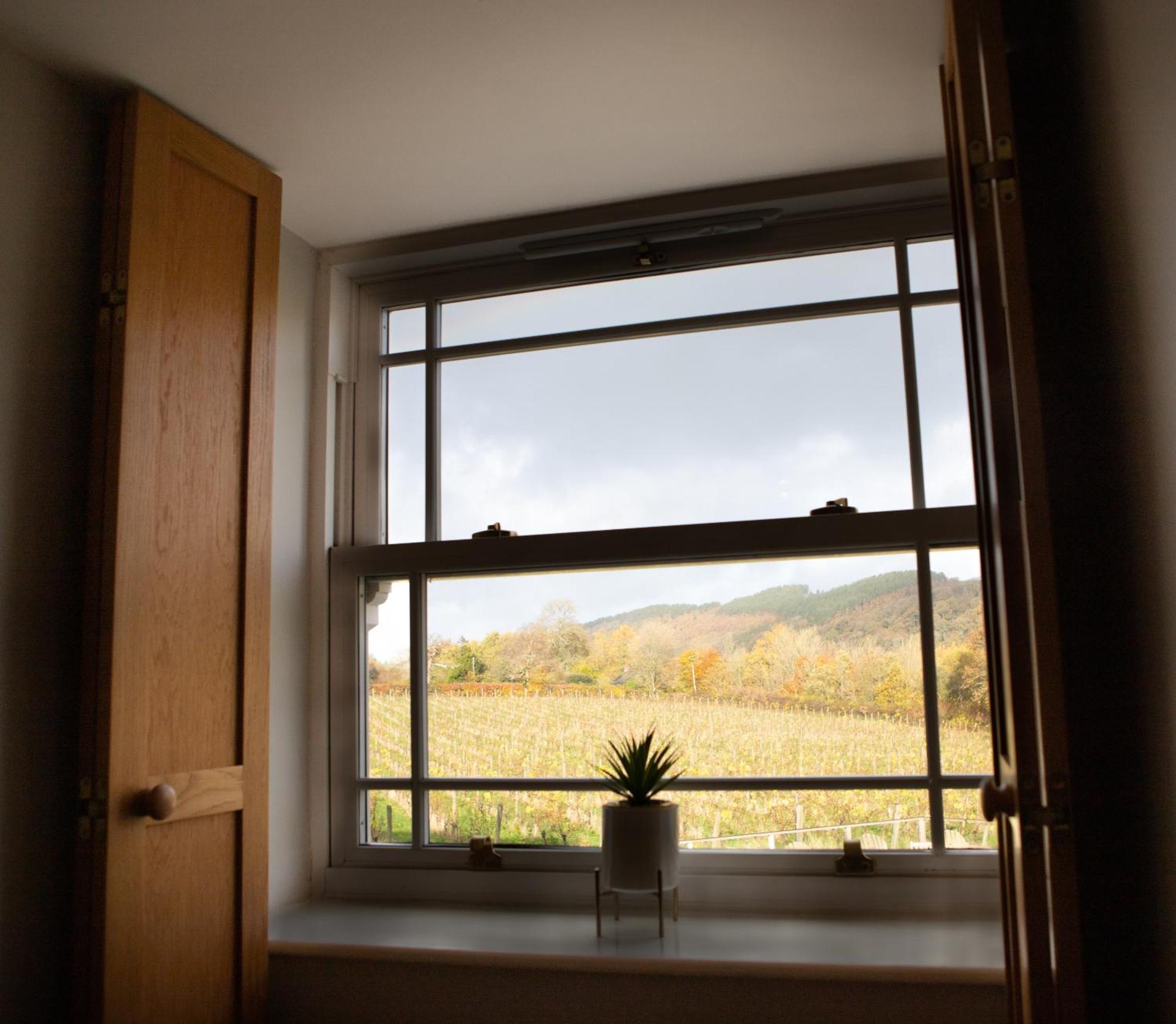 Vineyard Country Cottage Llanerch-Aeron Kültér fotó